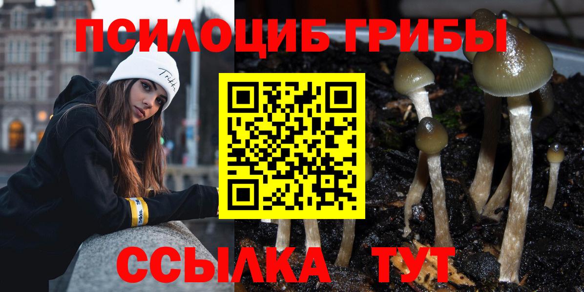 Галлюциногенные грибы MAGIC MUSHROOMS  Вход с VPN  Красноармейск 